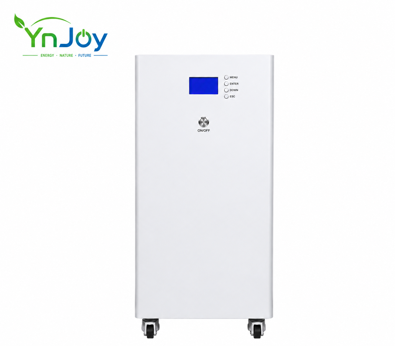 LiFePO4 Battery